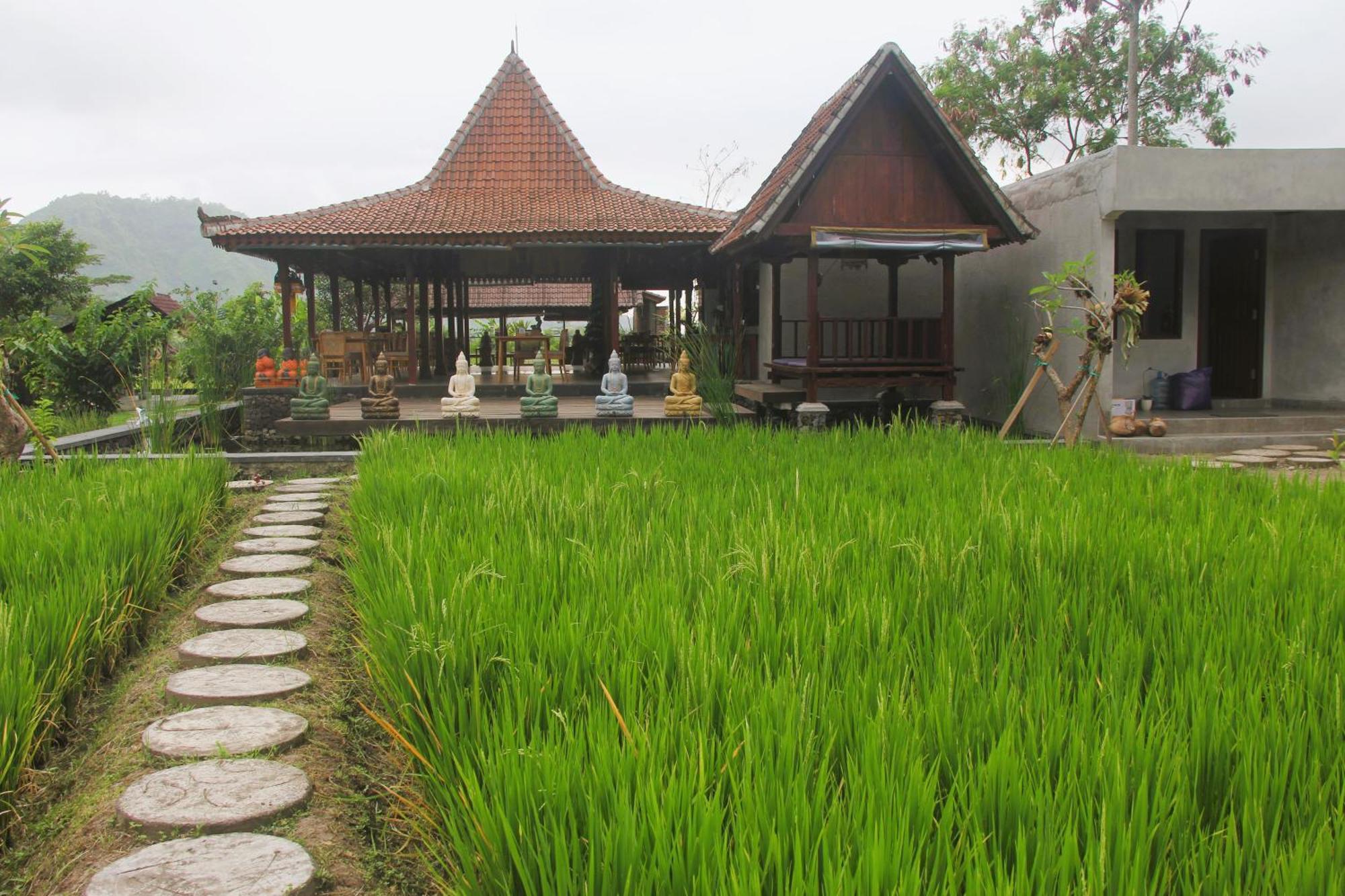 Anandinii River Lodge By Agata Sidemen  Dış mekan fotoğraf